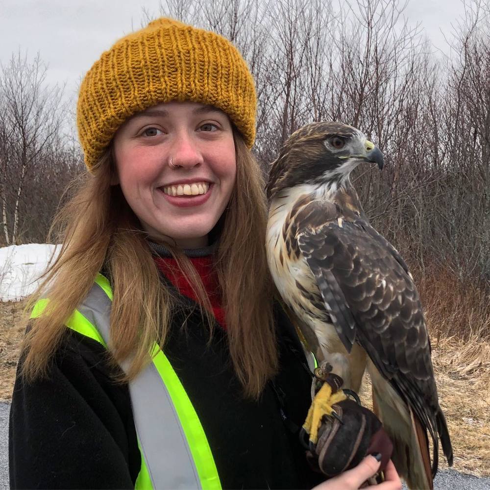 Meet your Posher, Lizzy